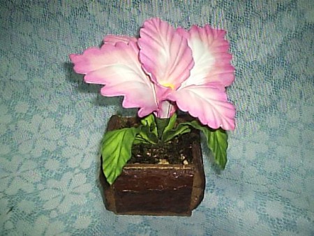 Flor "Orquídea Gigante"